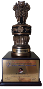 Strategic Leadership Excellence Award